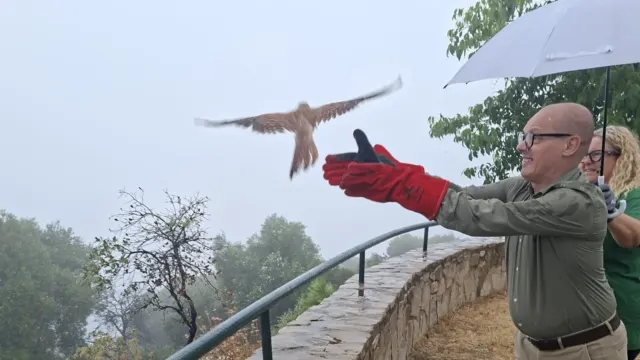Liberadas a su medio natural en el Parque Natural Montes de Málaga cinco aves tras ser recuperadas por el CREA de Málaga