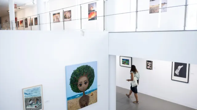 El espacio expositivo de la Diputación acoge la 61ª edición de la muestra colectiva de APLAMA