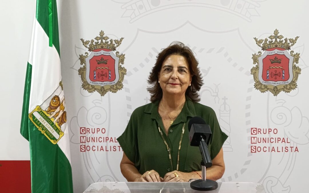 Críticas al equipo de gobierno de Ronda por priorizar una aplicación virtual ante el incremento de «plazas secas» de hormigón
