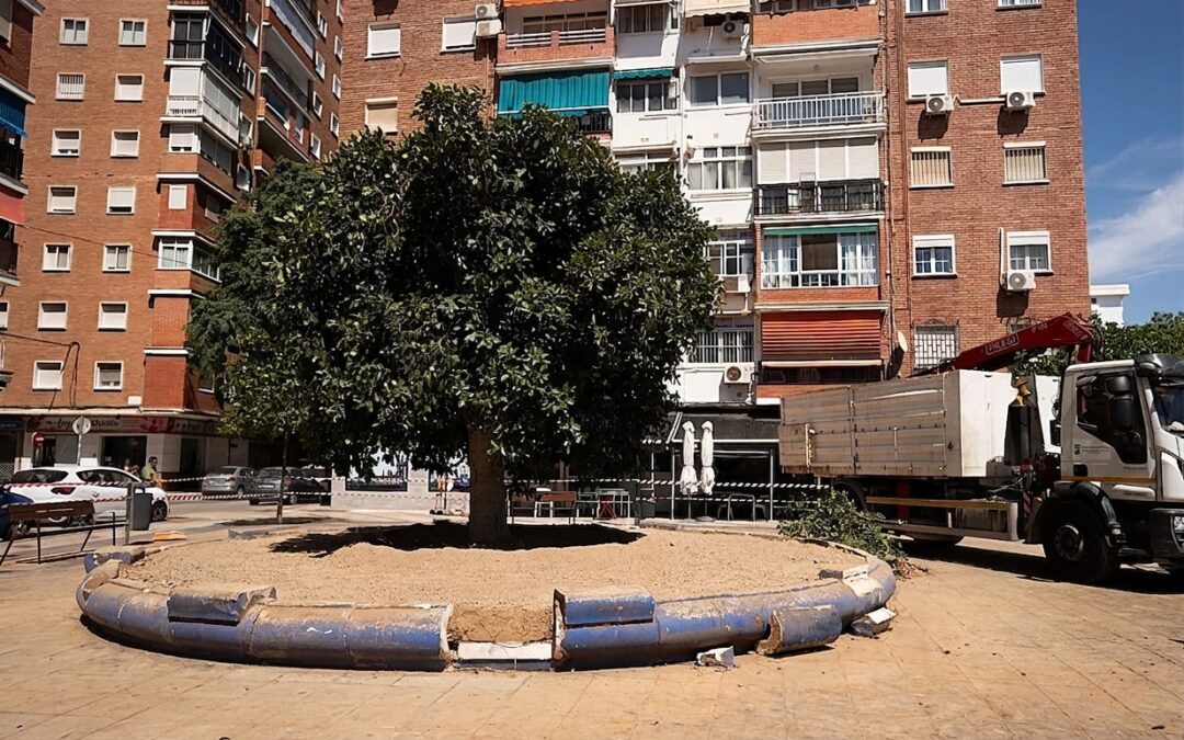 Critican al PP por llegar “tarde y mal” en la protección del arbolado urbano y por la infrafinanciación del saneamiento