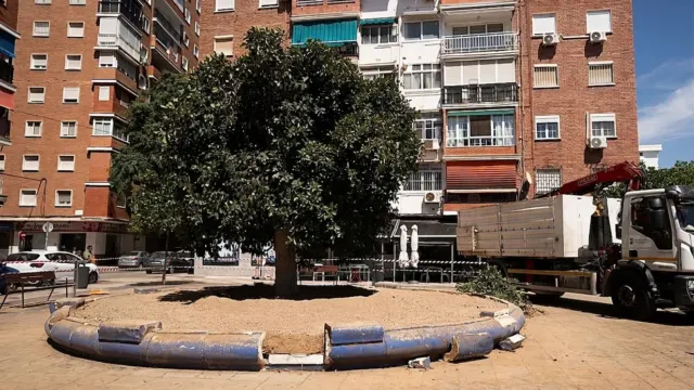 Critican al PP por llegar “tarde y mal” en la protección del arbolado urbano y por la infrafinanciación del saneamiento