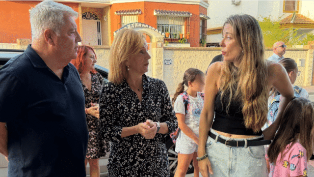 Málaga necesita medidas urgentes contra la proliferación de avispas que afecta a vecinos y niños en Guadalmar