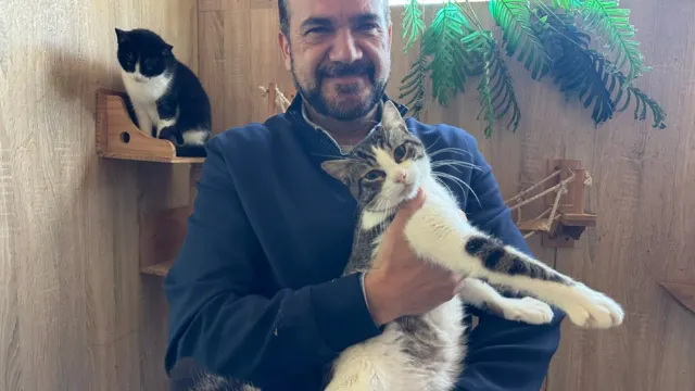 Fuengirola cubre los costes de vacunación y microchip para incentivar la adopción gratuita de mascotas