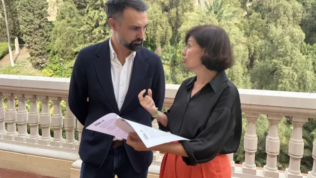 Frente común frente a la violencia machista: PSOE y Con Málaga piden blindar las unidades de atención a las víctimas ante los pactos con Vox