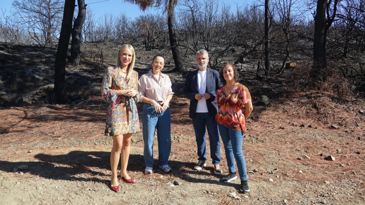 Denuncian que la Junta no ha enviado la documentación para el nuevo colegio e instituto de Benahavís