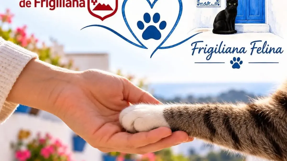 El Ayuntamiento de Frigiliana y la Asociación Frigiliana Felina se unen para implantar el método CER en las colonias del municipio