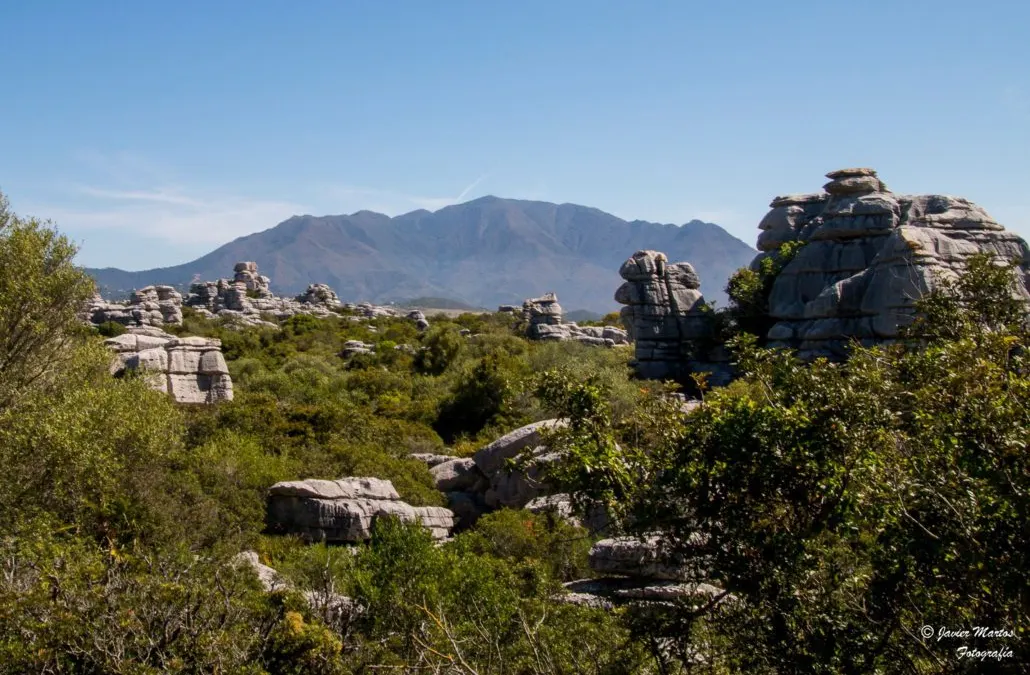 La Sierra de la Utrera de Casares, incluida en las Jornadas Europeas de Patrimonio